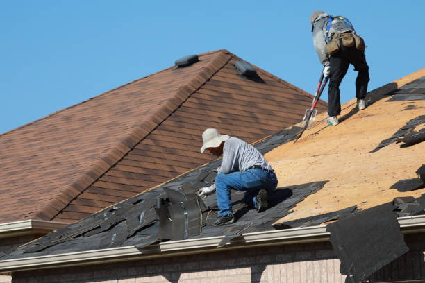 Best Asphalt Shingle Roofing  in Mesita, NM