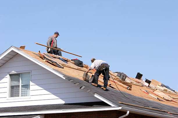 Best Skylight Installation and Repair  in Mesita, NM